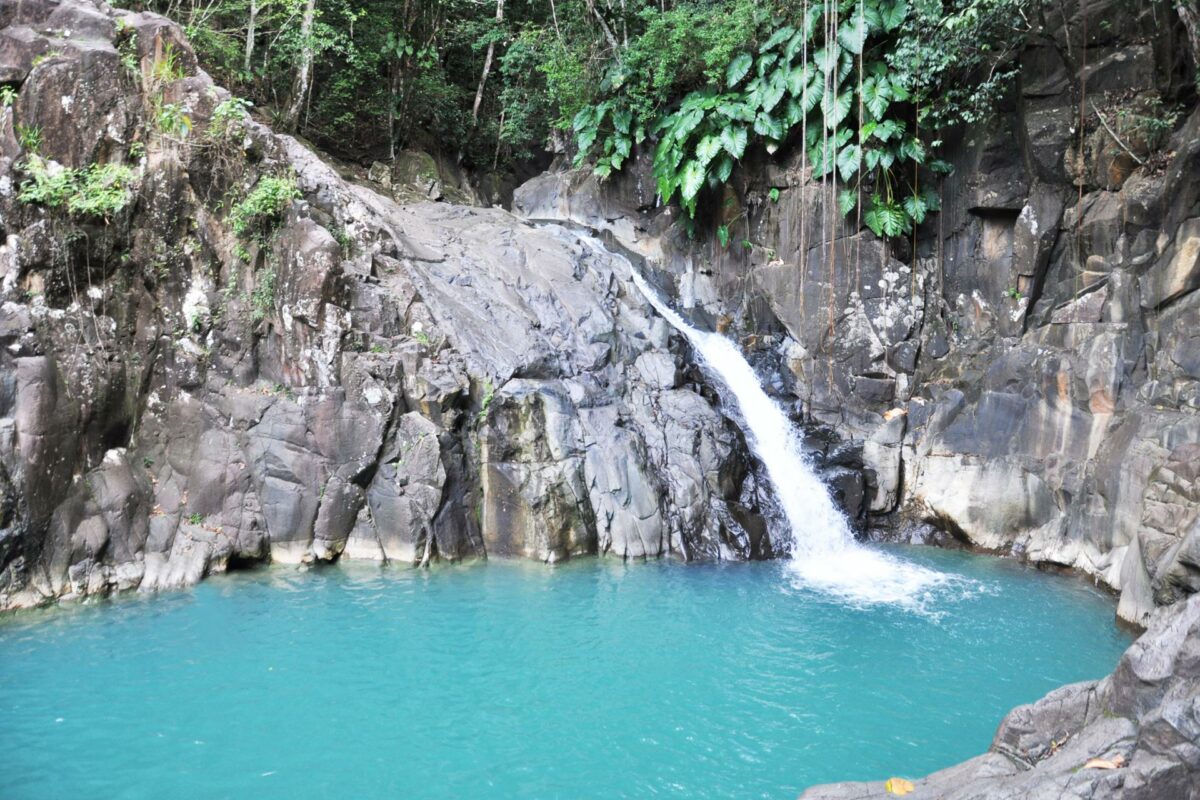 Le Saut d’Acomat à Pointe-Noire : un trésor naturel de la Guadeloupe